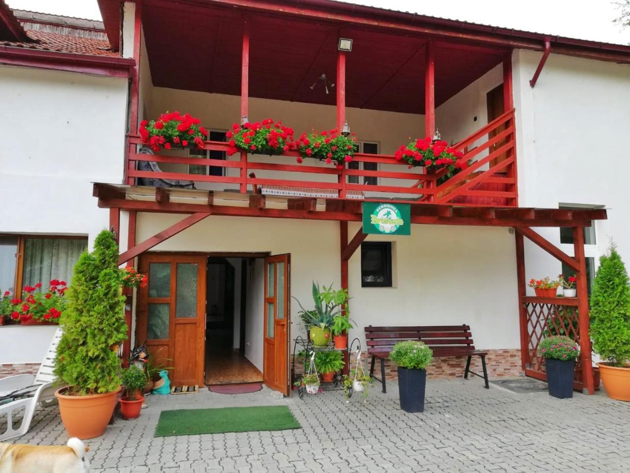 Pensiunea Broscuta Horezu Exterior photo